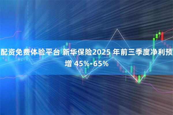 配资免费体验平台 新华保险2025 年前三季度净利预增 45%-65%